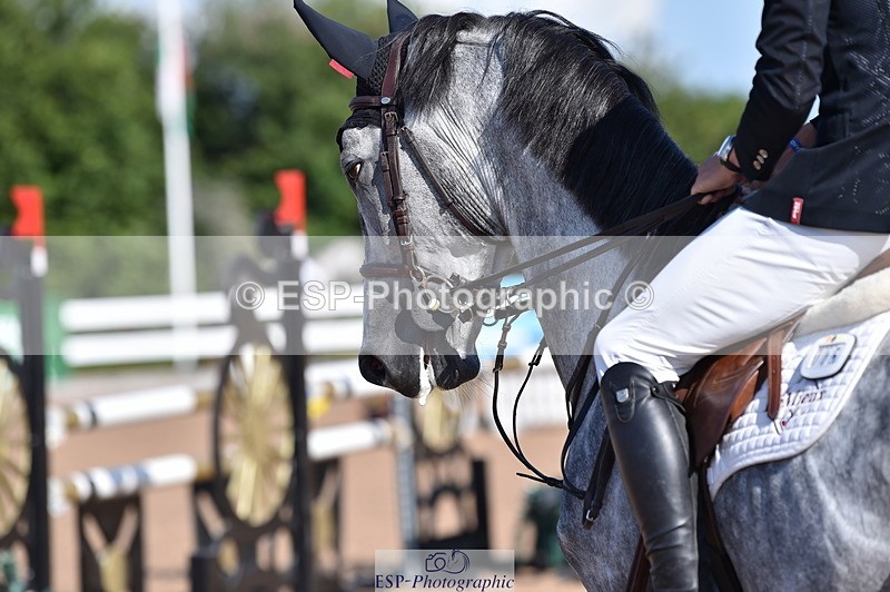 230720A-091324-01321 - Cls 25, 5 Yr Olds 1.10m