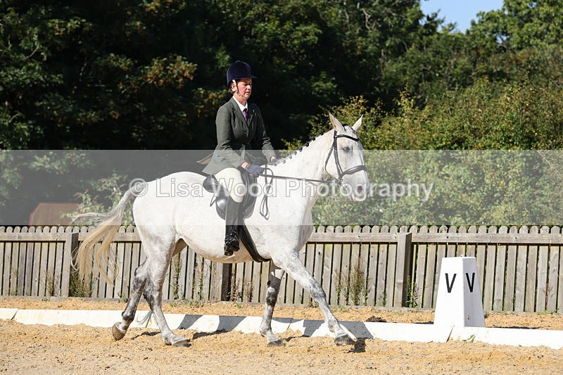 1X9A7741 - Class 9: Open Ridden Hunter