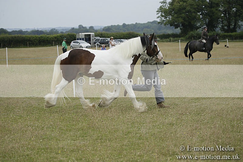 B230619-0729 - Bourne Valley Riding Club Summer Show 23/06/19