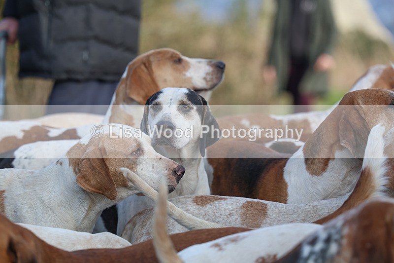 3E7A5313 - FBH Carn Brea 26.12.2025