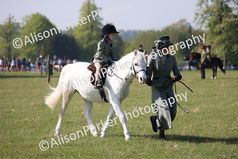 20250427-0136 - Class 30 - Tiny Tots Lead Rein