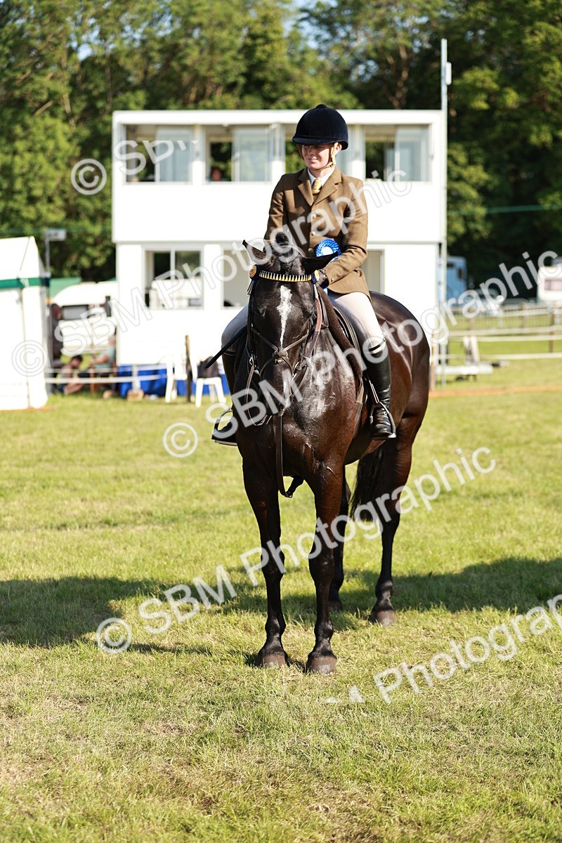 SBM_19323 - Class 115-116 - LIHS BSHA Rising Star Working Hunter & Show Horse