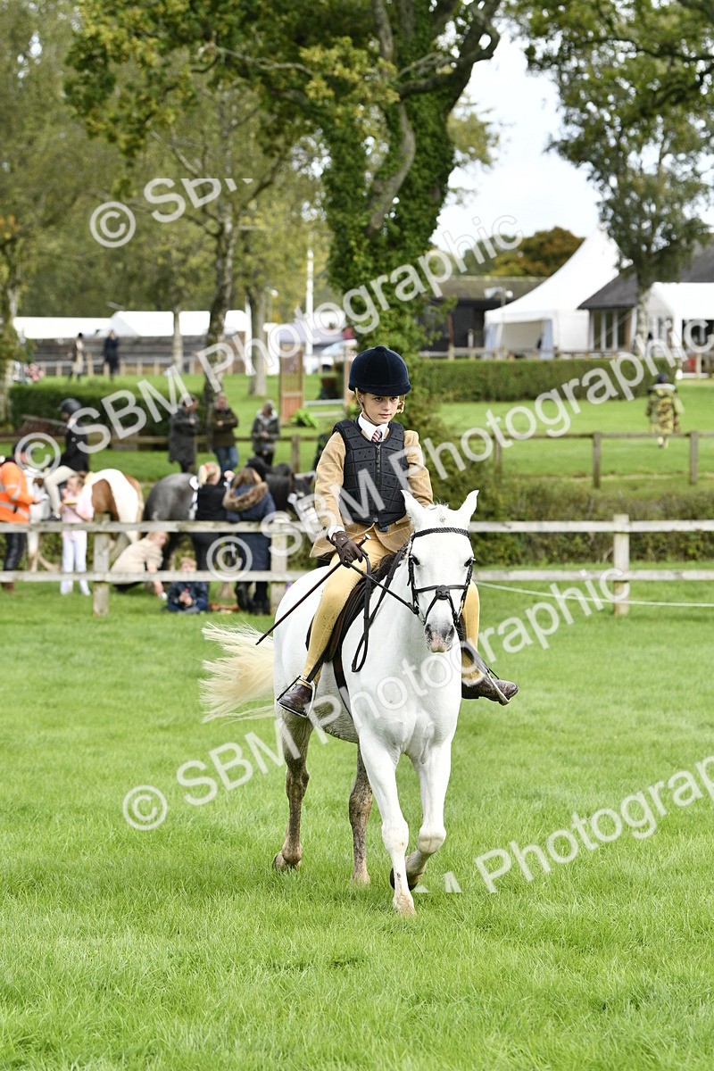 SBM_41598 - S32 - Mountain & Moorland Working Hunter Pony