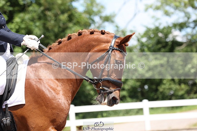 240621A-130048-00919 - Cls 15 BD Music Adv Medium