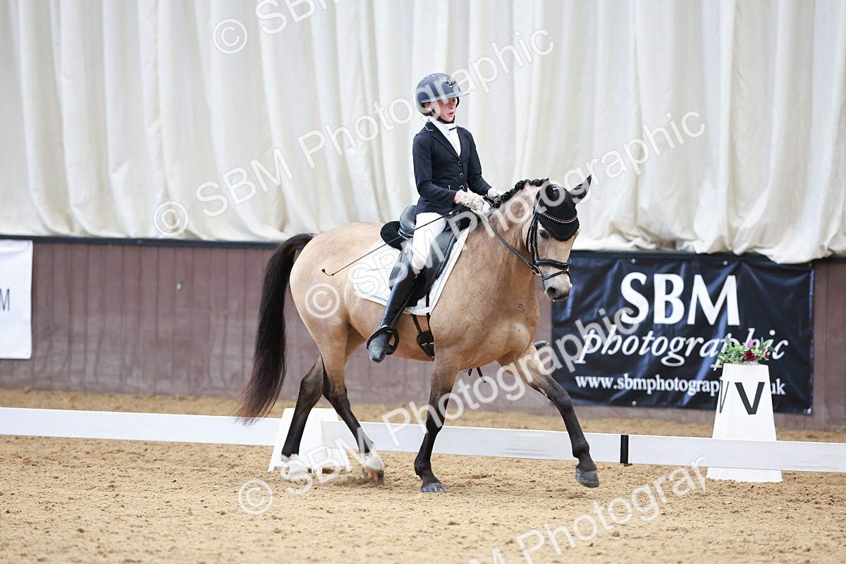 SBM_017219 - Class15 - FEI Pony