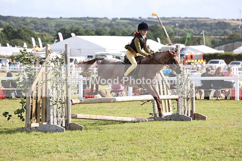 JPP_2828 - Class 20: Working Hunter 70cm