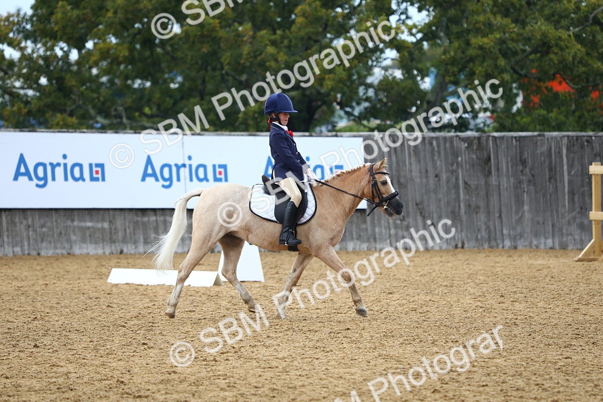 SBM_39051 - D21 - Junior Championship Intro 1