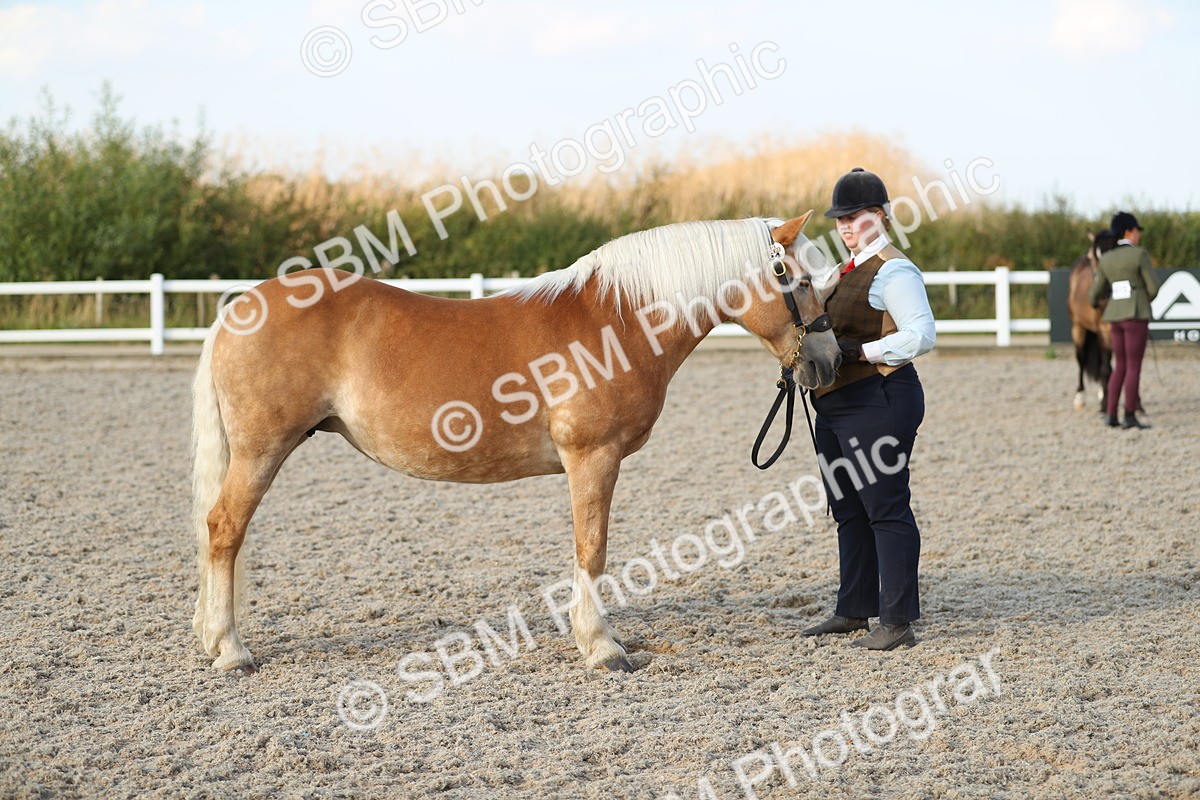 SBM_09038 - Class 29 IH Veteran Pony