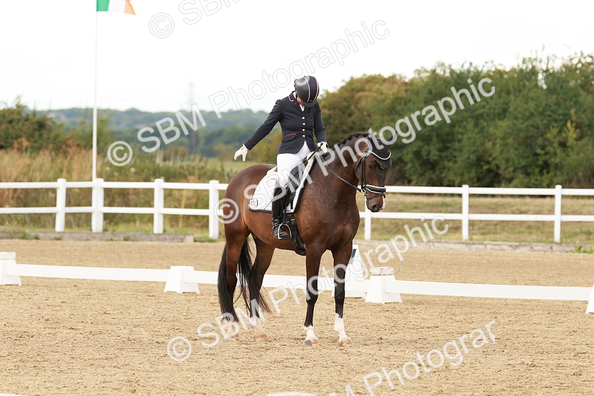 SBM_001904 - Class 8 - Elementary 6