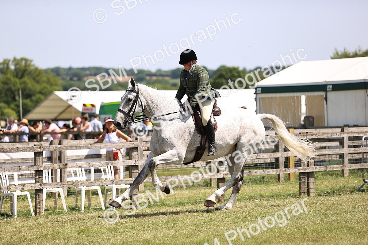 SBM_16126 - Class 79-80 - LIHS BSHA Rising Star Ridden Hunter