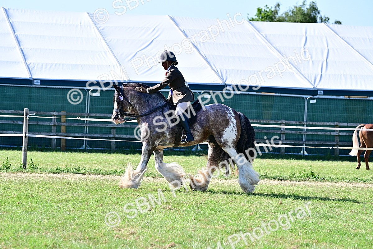 SBM_19591 - Class 101-102 - BSPS LIHS Performance Coloured Horse/Pony