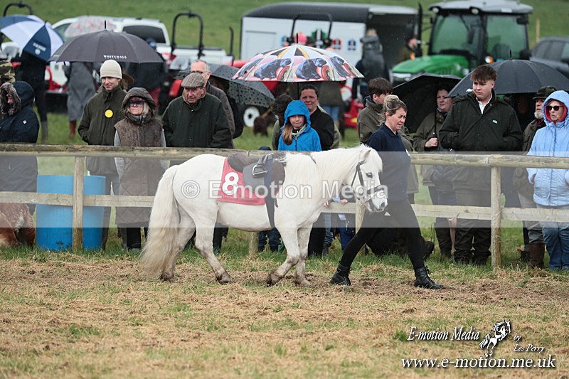 SHETPR 210425 45 - Shetland Ponies Paxford Races 21/04/25
