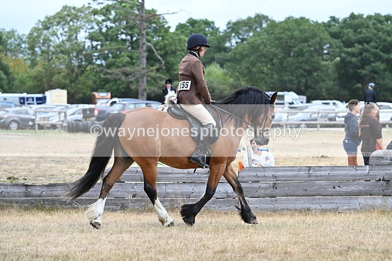 WJ7_0500 - Class 6 Ridden Mountain and Moorland