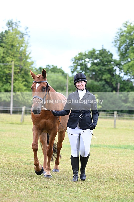 WJ7_6964 - Class 5a Most Handsome Gelding in Hand