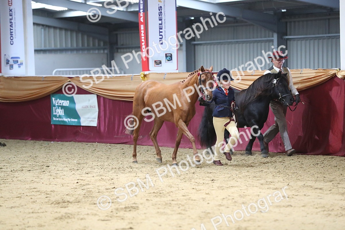 SBM_06503 - Class 9R Regional- IH Pre Vet