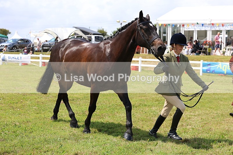 3E7A1659 - Class 9: Open Hunter