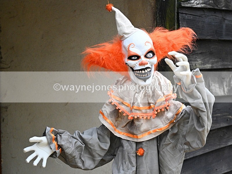 WJ7_5810 - Berks & Bucks - Children's Meet - The Old Farmhouse – Steventon.