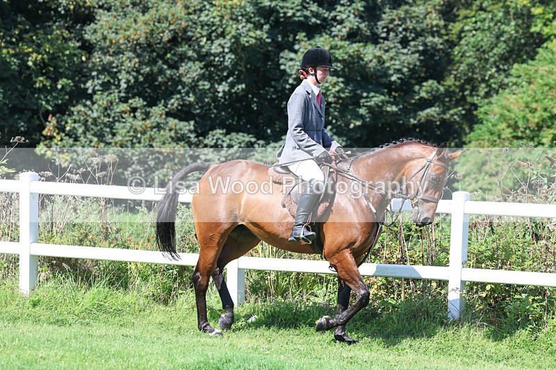 3E7A8323 - Class 4: Novice working Hunter