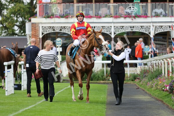 yr04092022r3-39 - Race 3 2.55pm The Elevator Company Garrowby Stakes