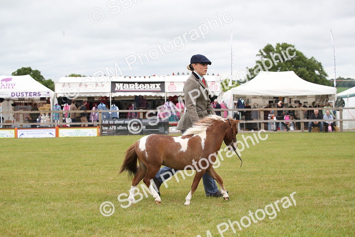 SBM_03508 - Class 23-25 - British Miniature Horse of the Year