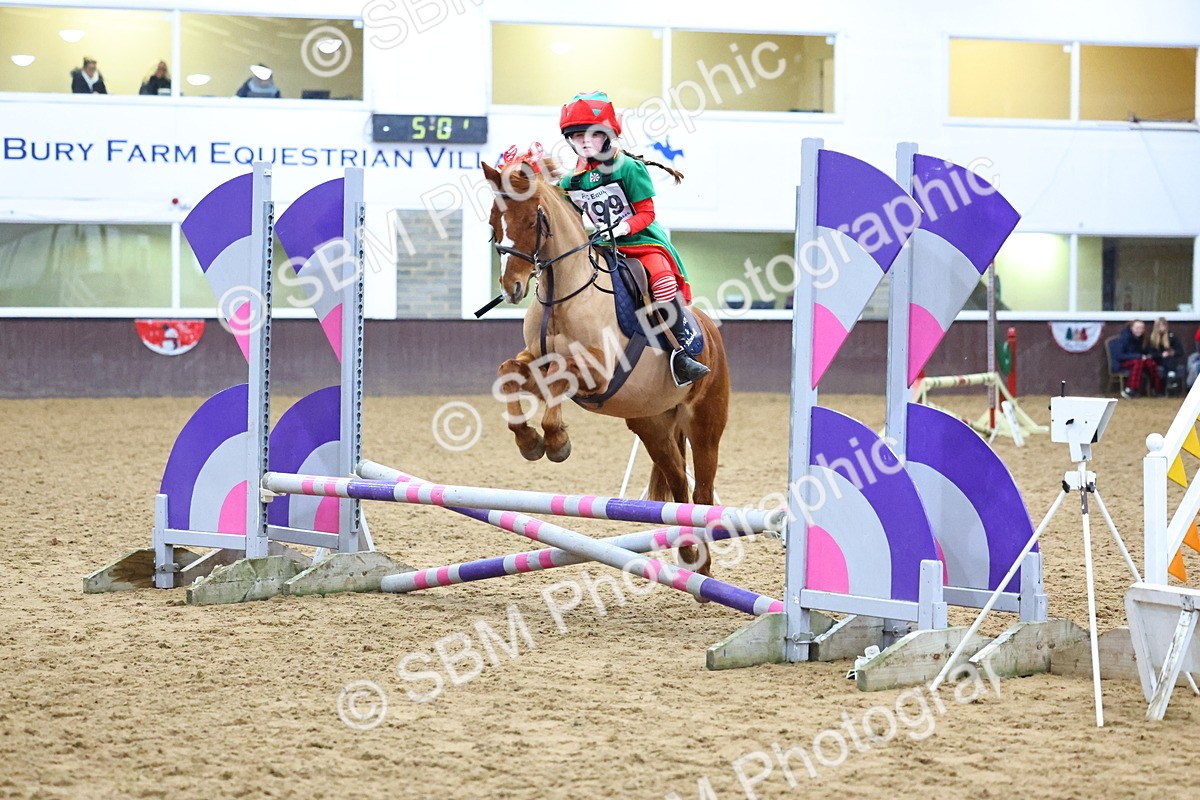 SBM_001441 - Class 3 - Christmas Tree Stakes - 60cm