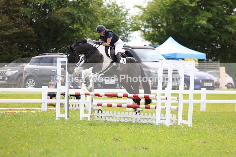3E7A1552 - Class 13: Senior British Novice/90cm open