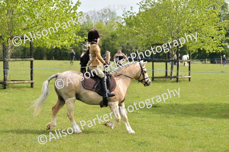 20260426-2258 - Class 20 - Beginner Working Hunter