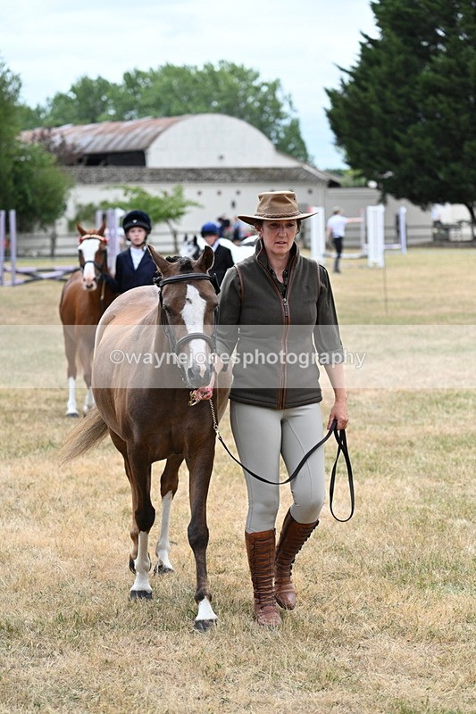 WJ7_1407 - Class 4 Prettiest Mare up to 14.2hh in hand