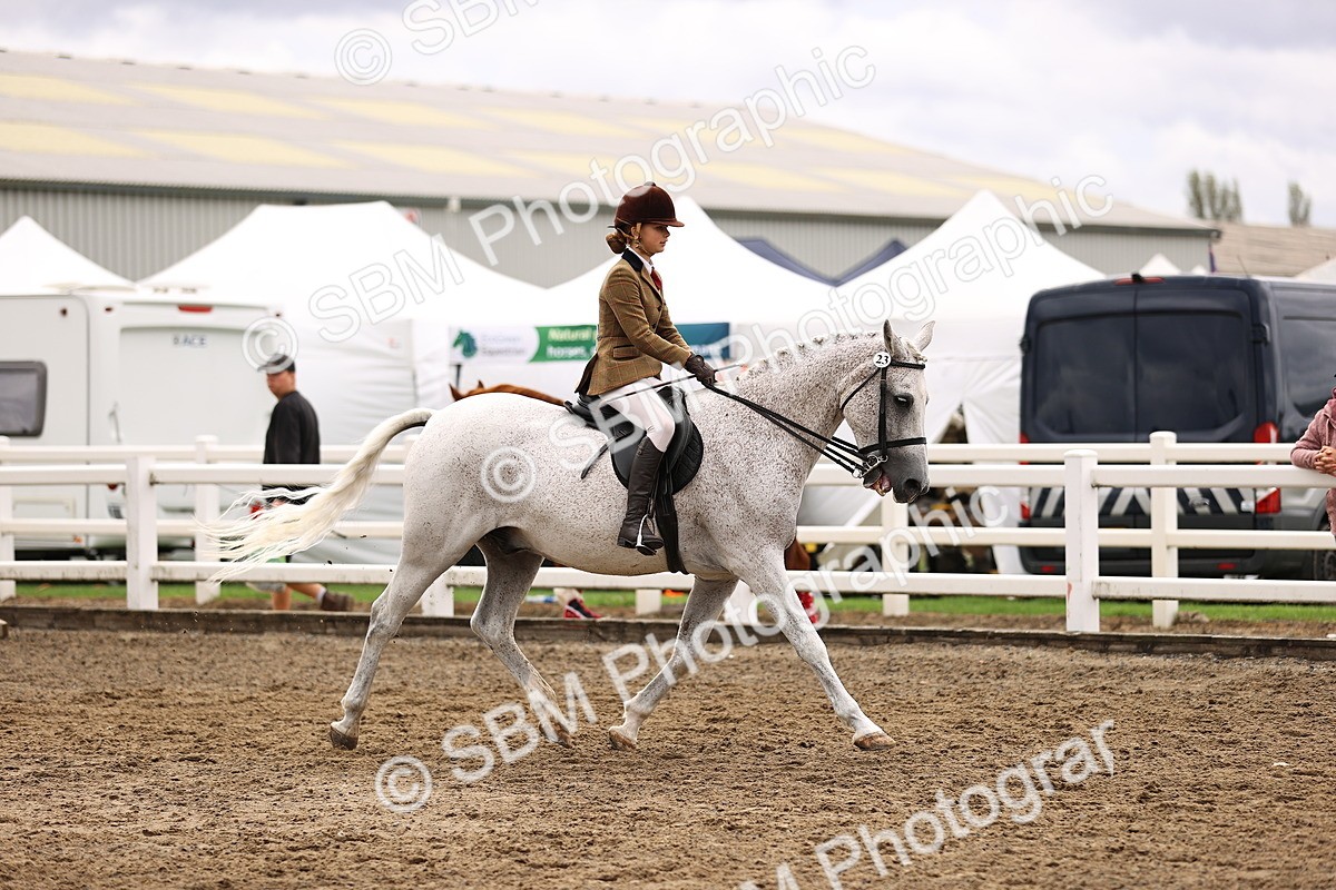 SBM_00541 - Class 53 - Ridden Competition Horse Pony
