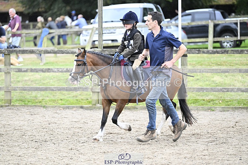 240822X-143348-09116 - 40cm LR R2 13.00 to 15.00