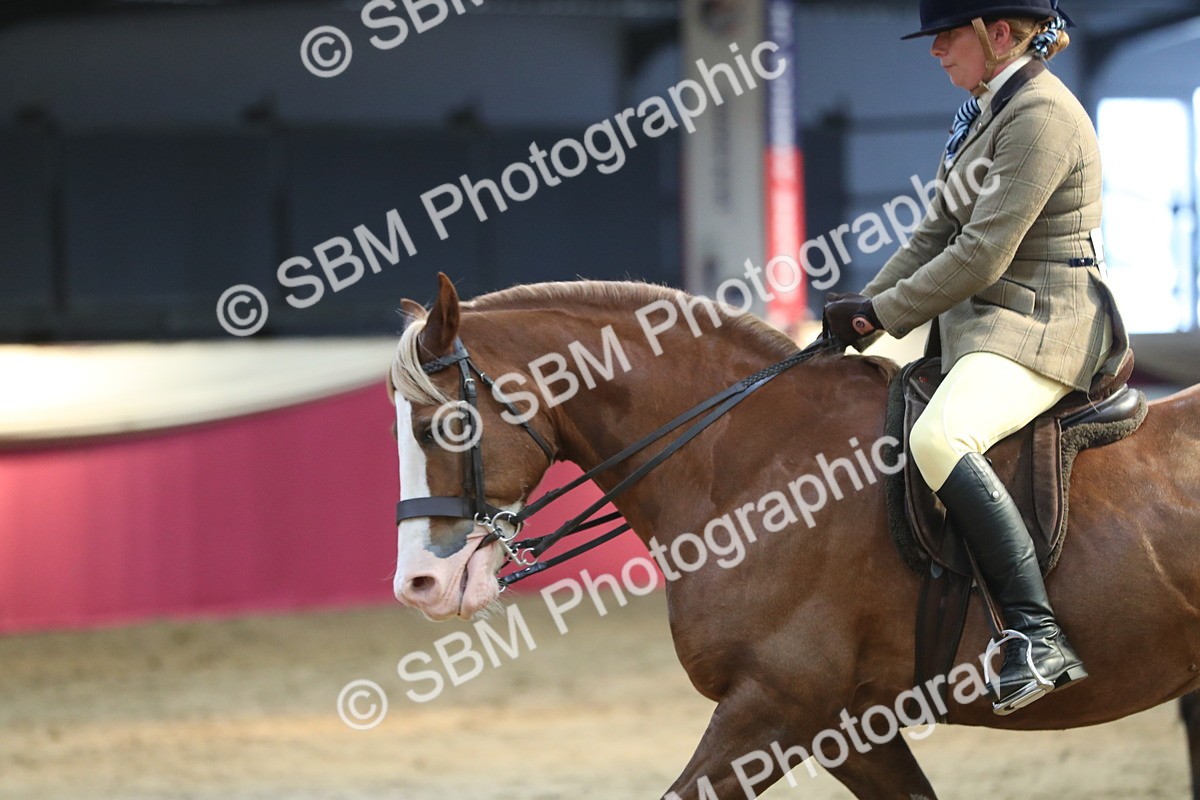 SBM_08329 - Class 11R Regional Ridden Veteran