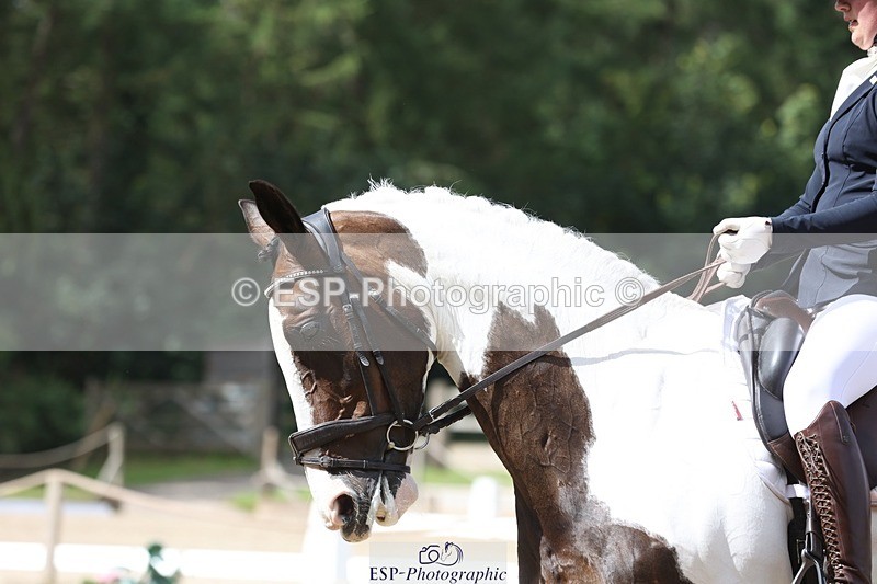 230812-112651-03773 - Cls 5 Novice Bronze 11.15 to 12.50 break