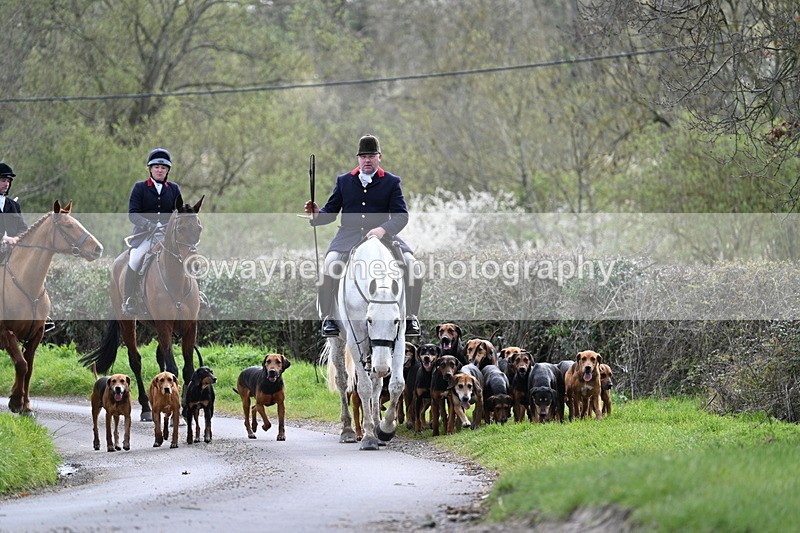 WJ7_9756 - Walk Home