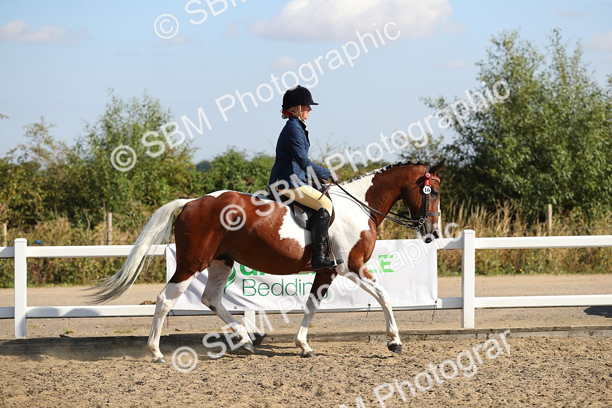 SBM_02192 - Class 43 Ridden Competition Horse/Pony