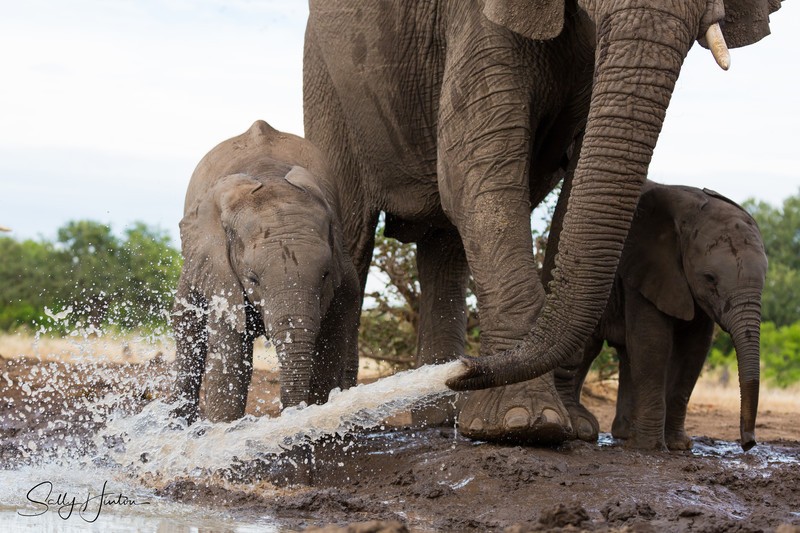 Spraying Water 4