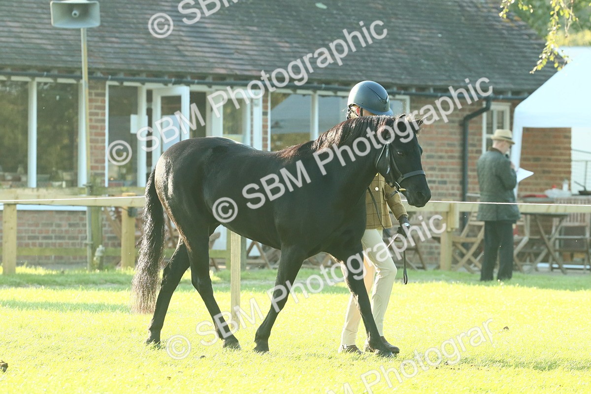 SBM_57348 - S37 - Starters In Hand Showing