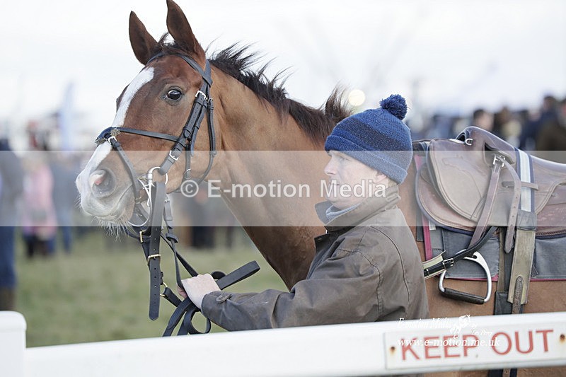 PtP 260223 1020 - South & West Wilts Point-to-Point Larkhill 26/02/23