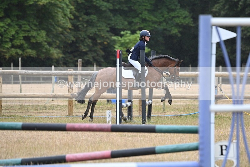 WJ6_0001 - Class 13 Novice Jumping 60cm