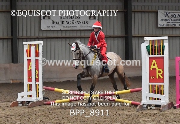 BPP_8911 - CLASS 1 Beginners Show Jumping