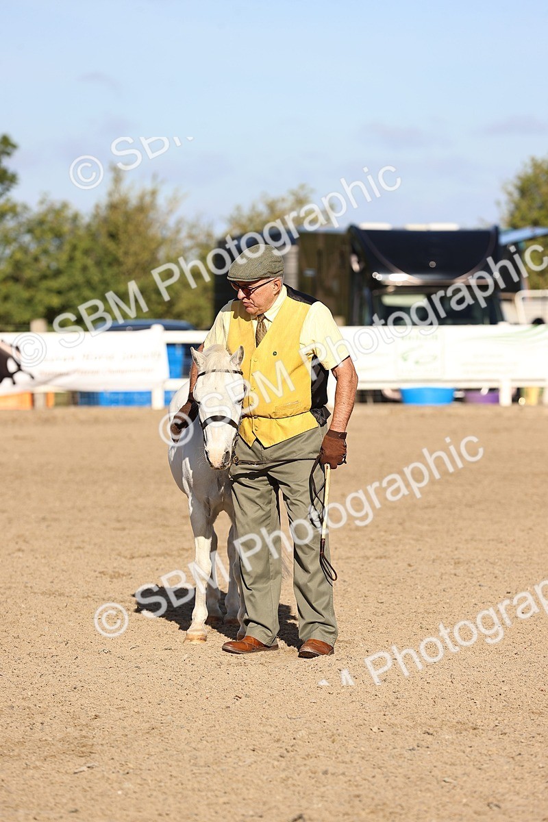 SBM_08452 - Class 402 - IH Veteran Pony