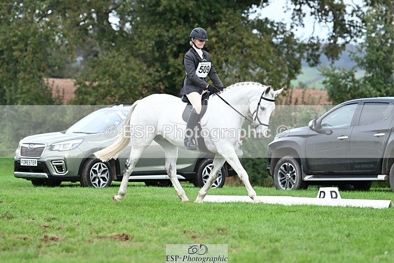 231020-155151-11290 - 509-WOODLANDS.SILVER.CLOUD-Karen.Cowling-DR
