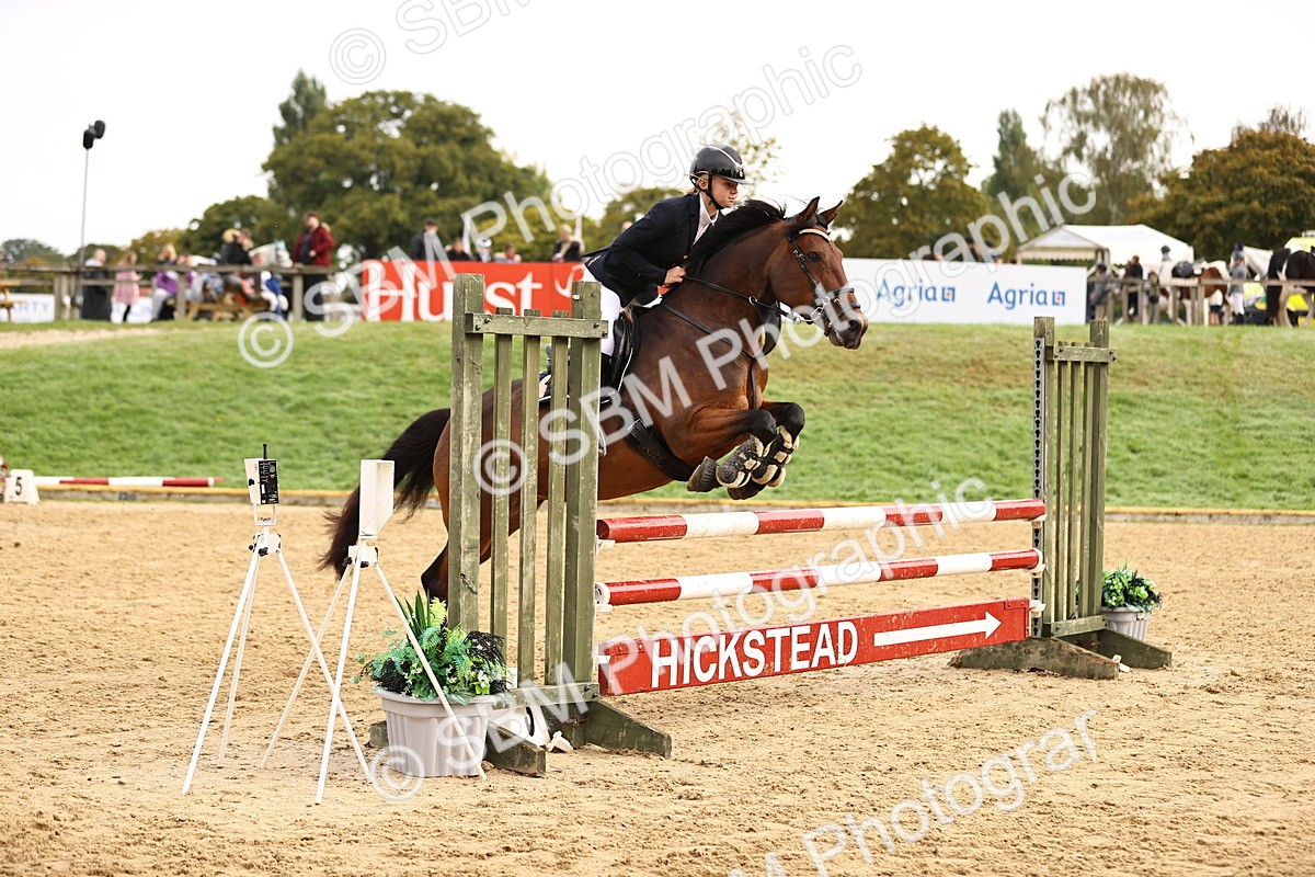 SBM_58419 - J41 - Grand Tour Horse & Pony 95cm