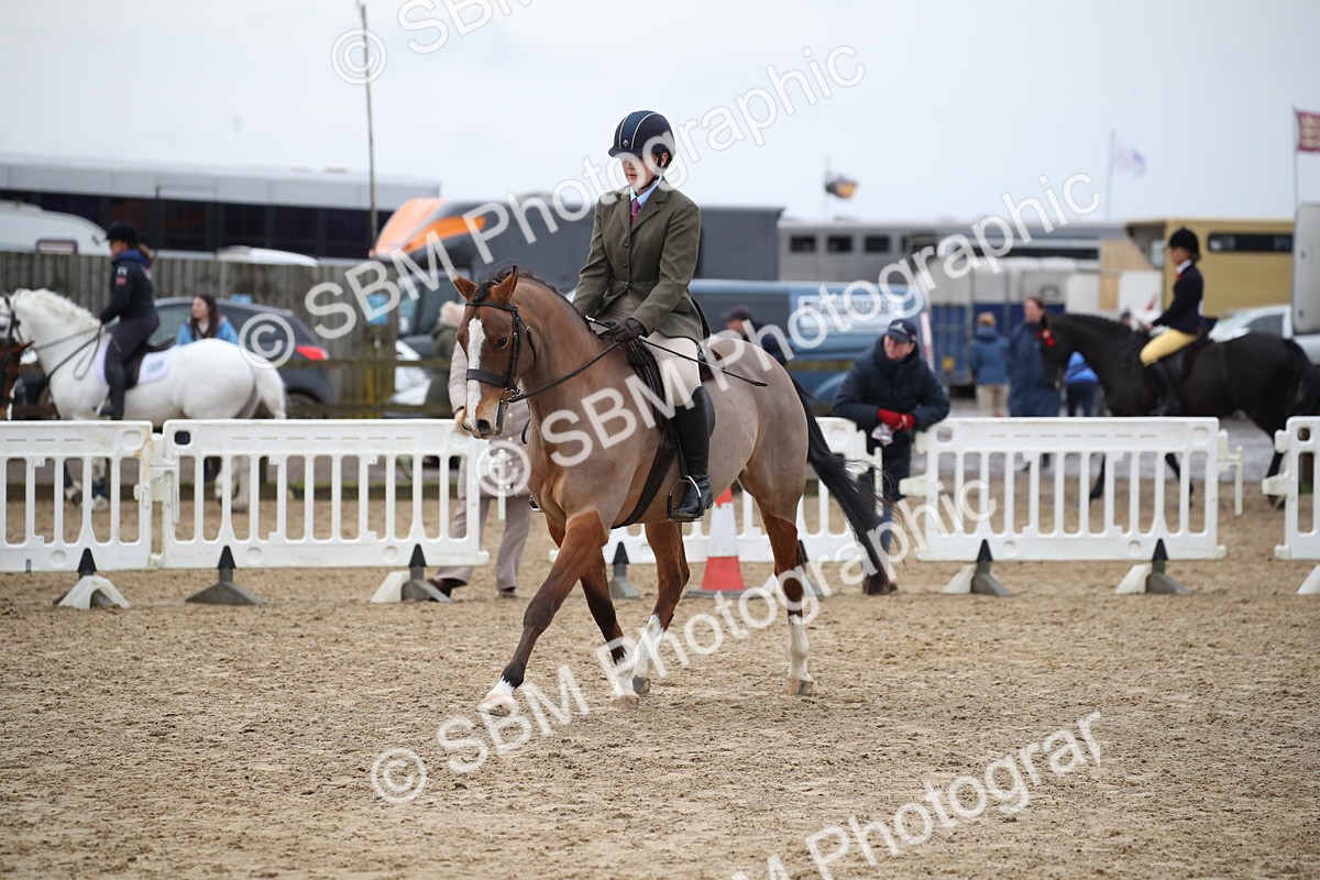 SBM_004759 - Class 5-9 - NPS In Hand-Show Hunter-Intermediate Ridden Inc Ridden Championship