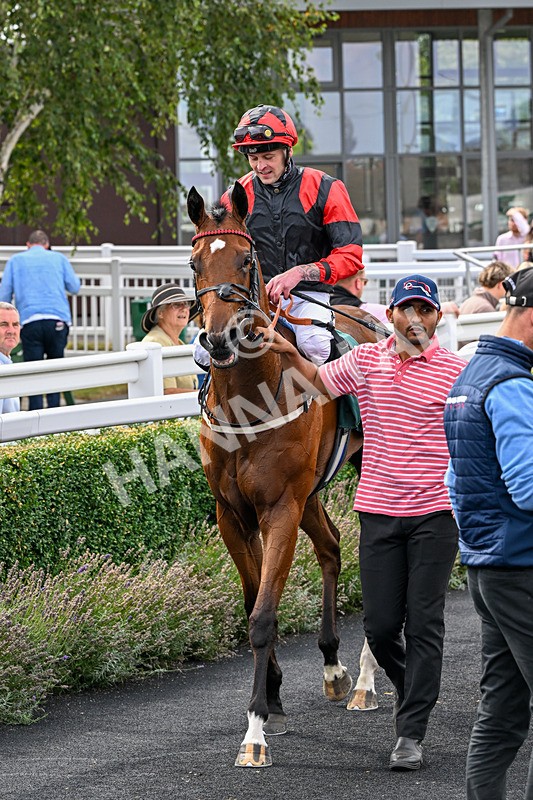 260826-Race 1-Mugheer-2171 - Race 1 14:15 Yorkshire Dales Distillery / EBF Restricted Maiden Stakes