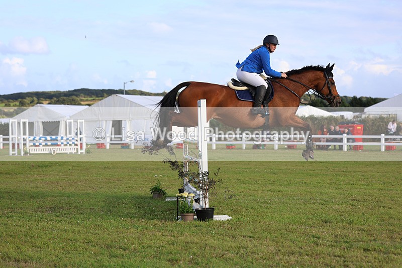 3E7A4949 - Class C1: Showjumping Senior Newcomers/1.10m open