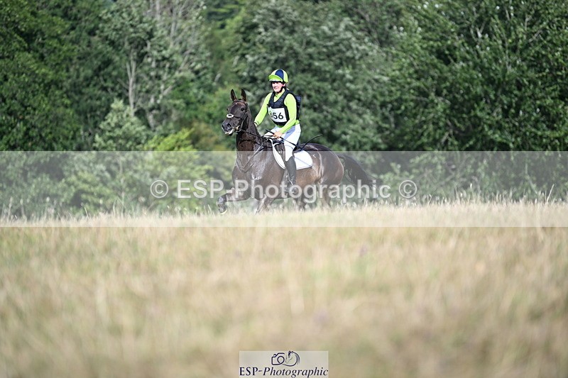 250803A-171659-18383 - S-856-Helena.Stock-ROYAL.UPDATE