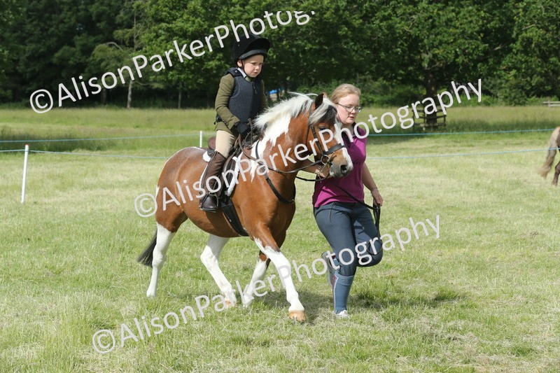 20260614-0143 - Class 1 - 30cm Lead Rein