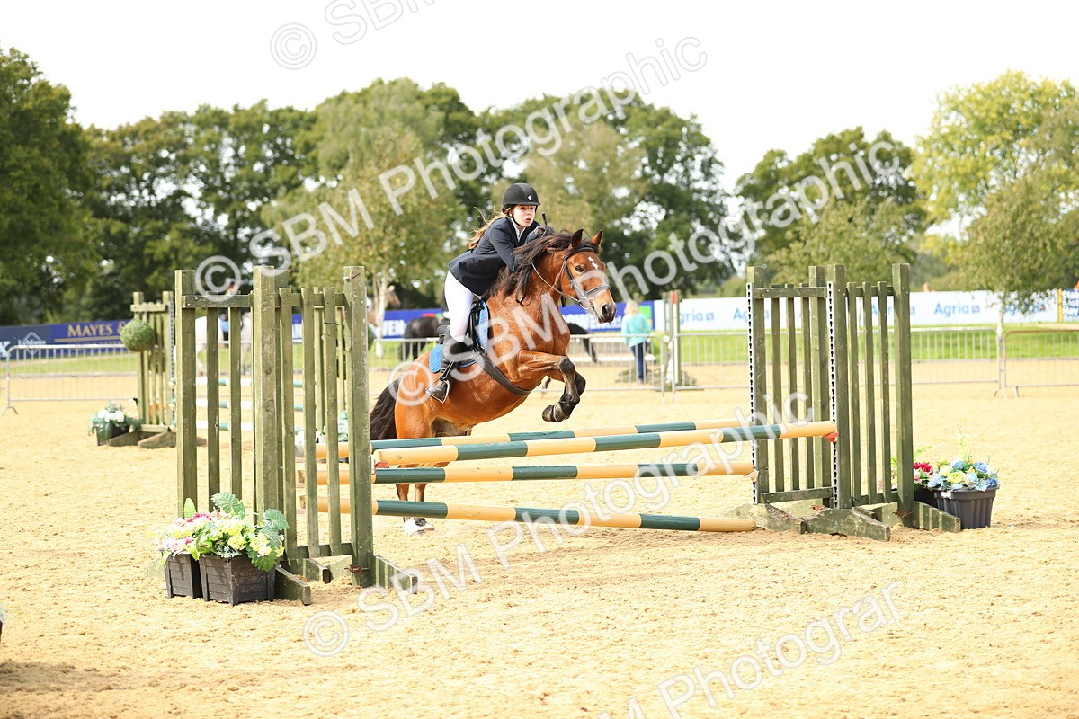 SBM_67191 - J17 - Junior Pony 80cm Championship