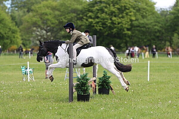 IMG_2917 - Working Hunter