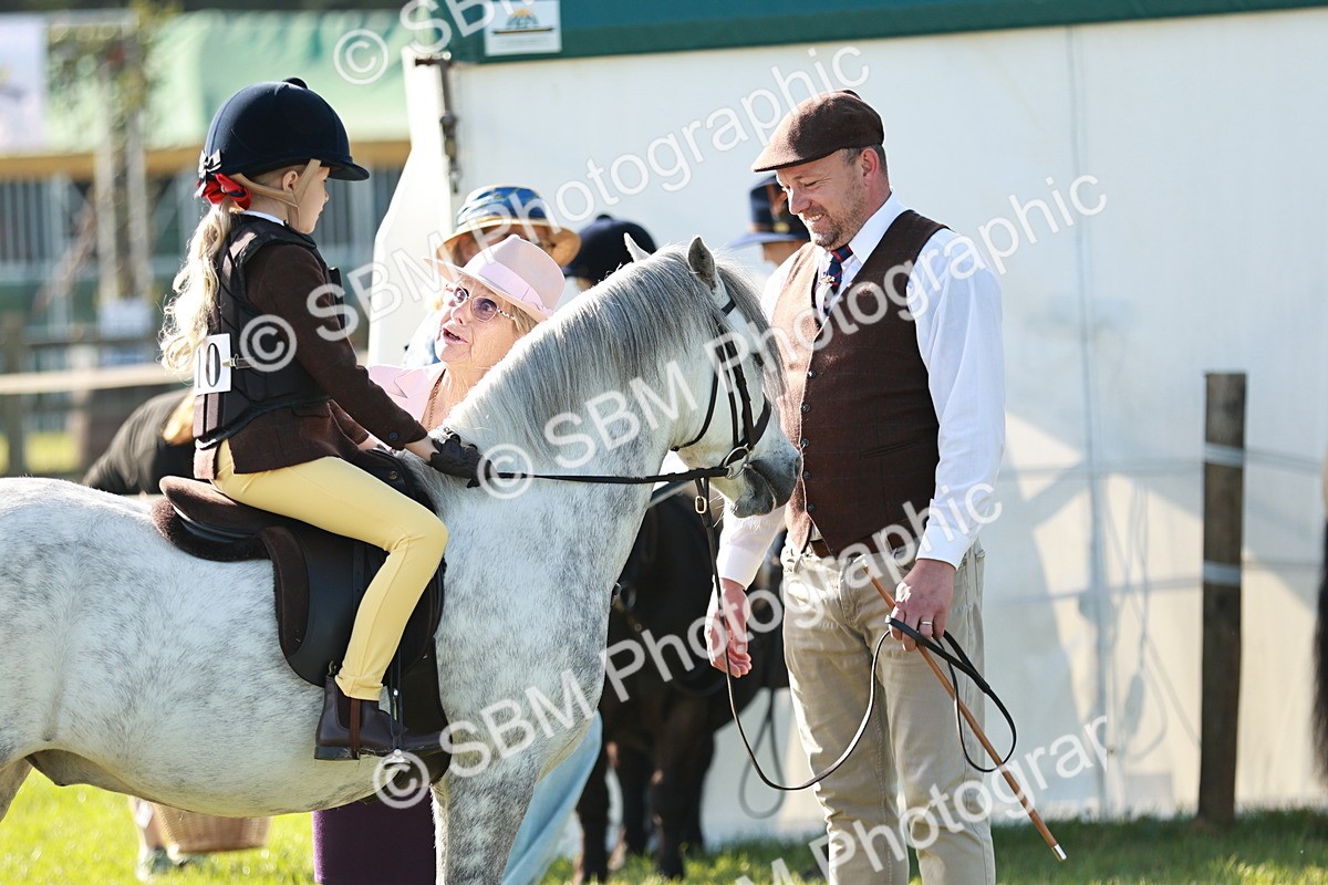 SBM_11127 - Class 106-107 - BSPS LIHS Working Sports Pony